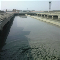 淄博瑞昱泵业CSL型 液下排渣泵使用视频