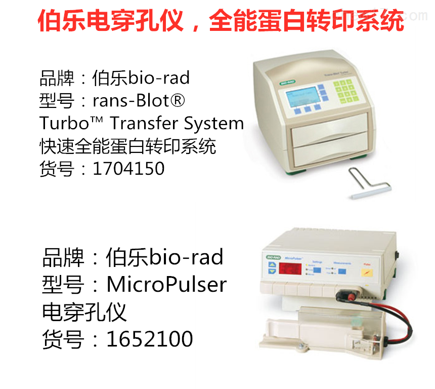 MicroPulser伯乐biorad MicroPulser电穿孔仪现货总代