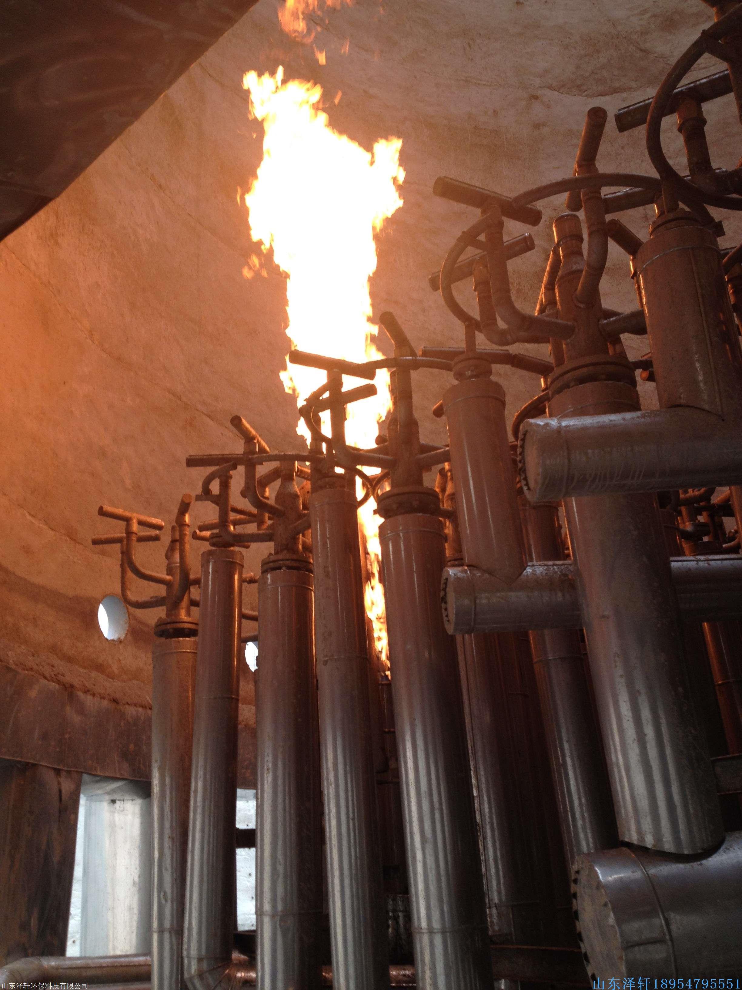 地面火炬火炬点火系统沼气燃烧器