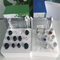 小鼠铁调素(Hepc),酶联分析试剂盒信誉保证
