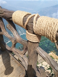 甘肃宁夏青海河南安徽 塑石假山仿木木纹护栏施工