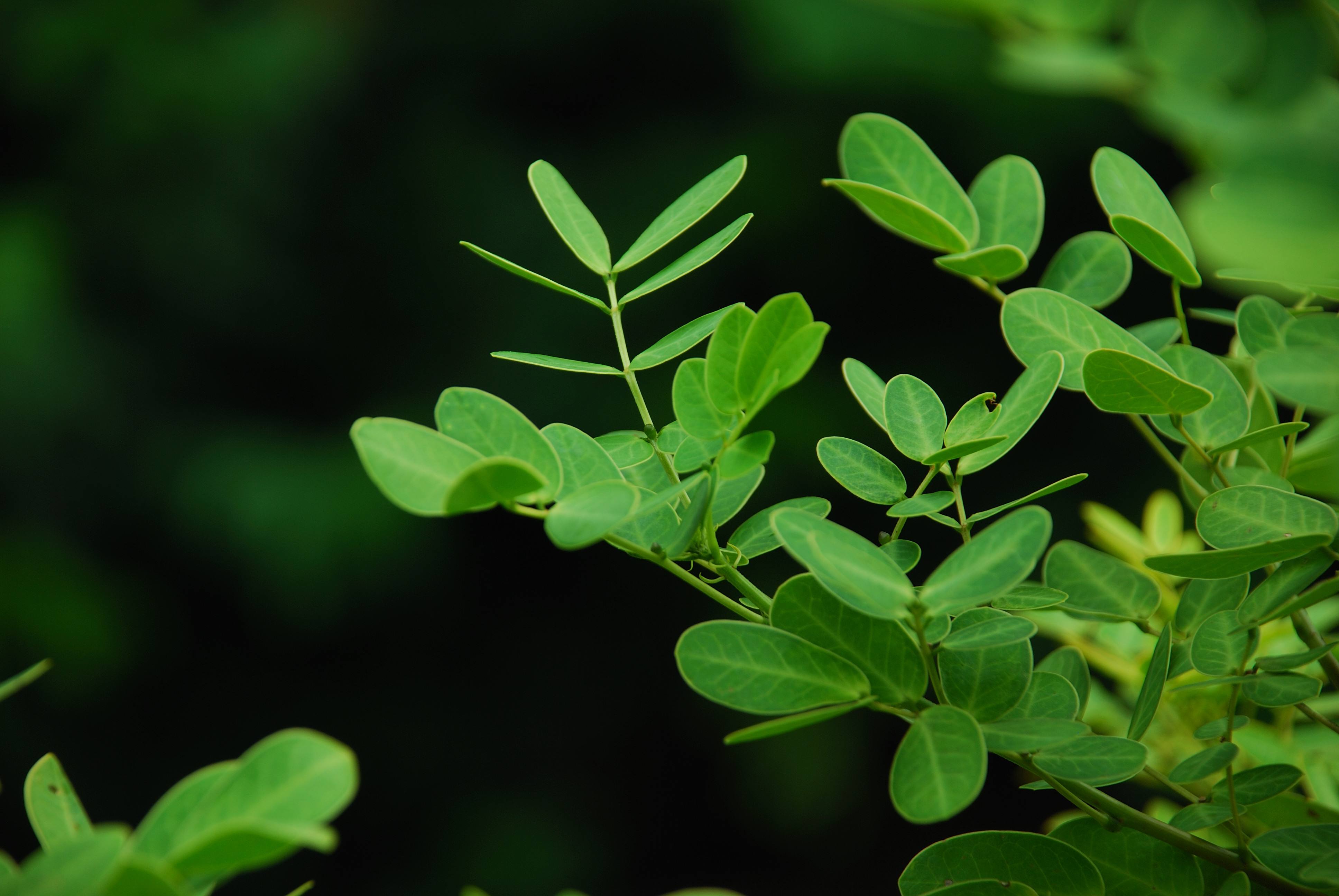 农业经济方向论文发表投稿咨询