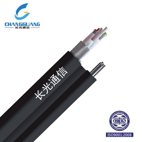 长光通信江苏12芯水线光缆 GYTA333 山东钢丝铠装通信厂家