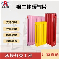 钢制柱型散热器6030-钢制二柱型散热器