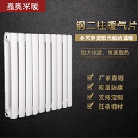 家用钢制散热器 QFBGZ216钢二柱暖气片图片