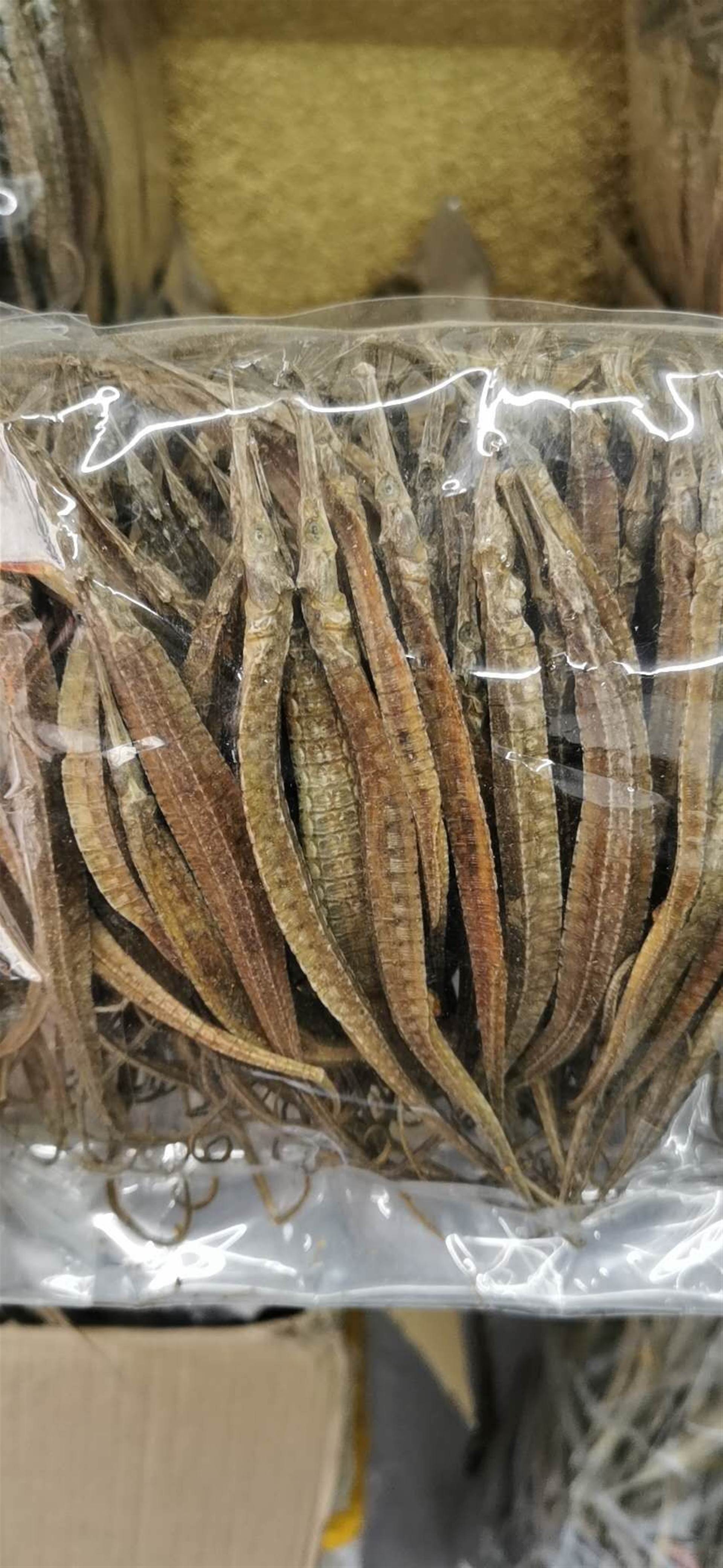 小海龙多少钱一斤