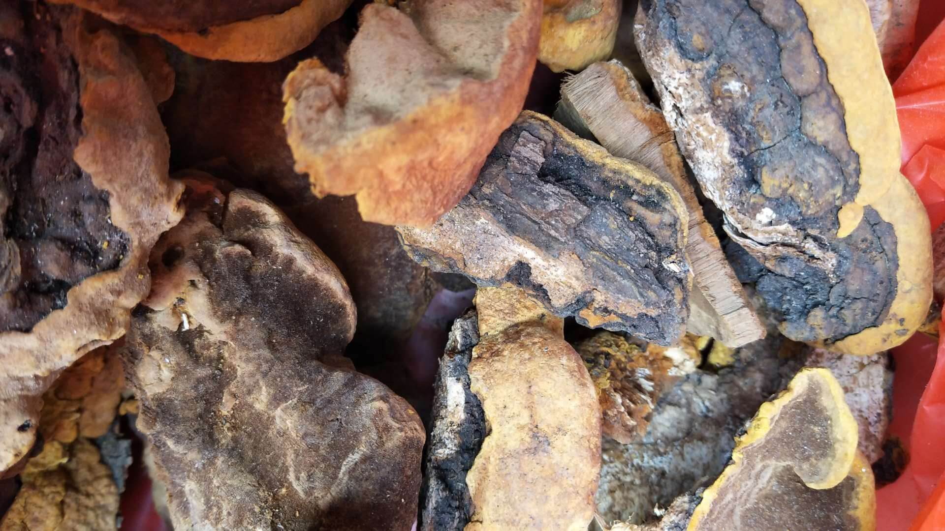 办公楼物业服务项目招标公告