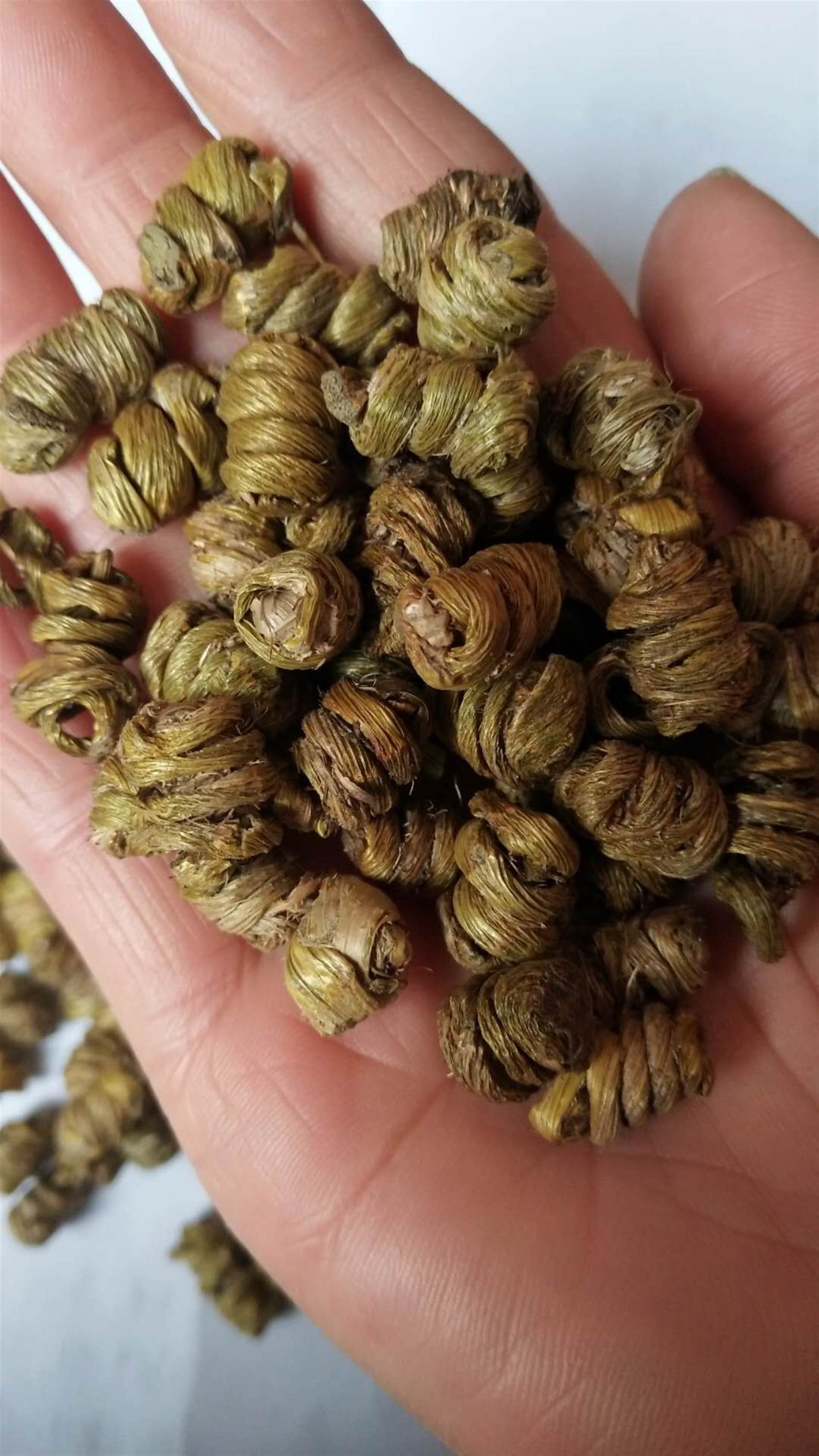 零陵香多少钱一斤      零陵香的药效