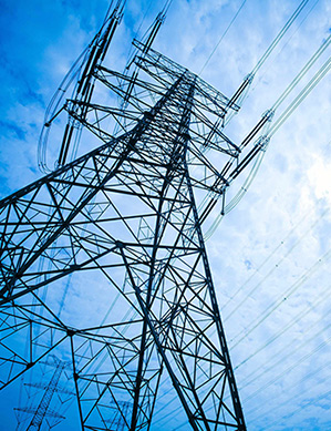 山东泽荣铜芯交联聚乙烯绝缘聚氯乙烯护套电力电缆 YJV