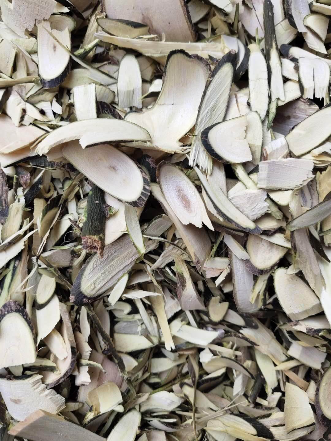 冷背药材供应槐树枝槐树枝的价格