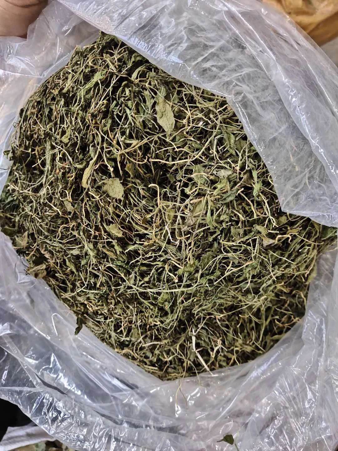 一支箭的功效一支箭的价格