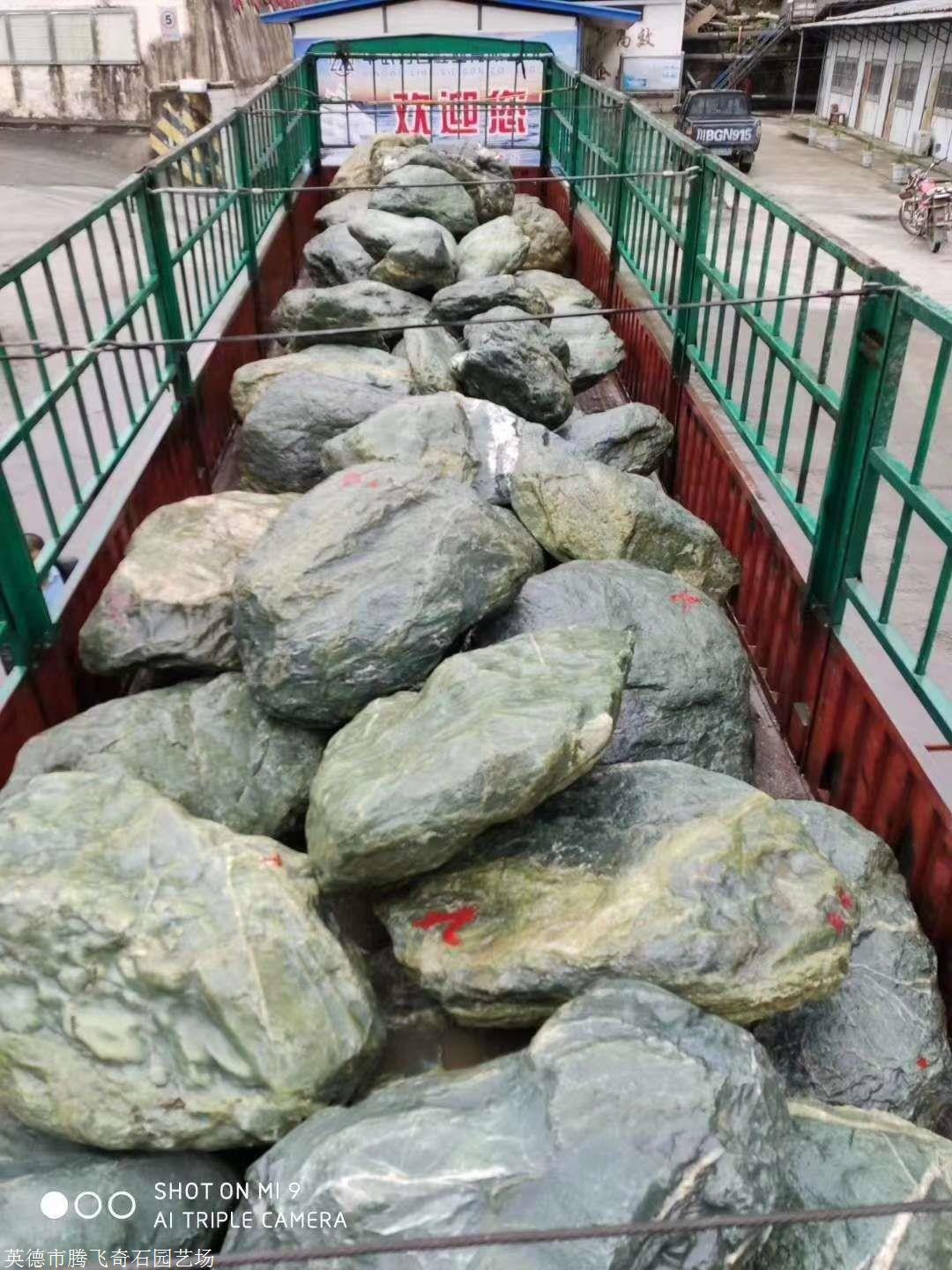 富贵绿石批发景观富贵绿