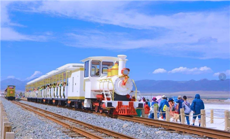 电动观光火车 茶卡盐湖 景区观光小火车 木森河系列