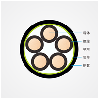 山东泽荣控制电缆KVVKYJV