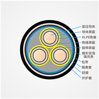 山东泽荣中高压电力电缆