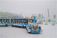 儿童观光无轨小火车 观光火车订购 室内有轨小火车