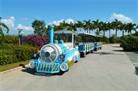 无轨观光火车  景区观光火车  支持博瑞特老品牌