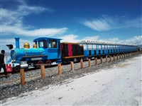 山地观光火车  轨道小火车 旅游景区小火车