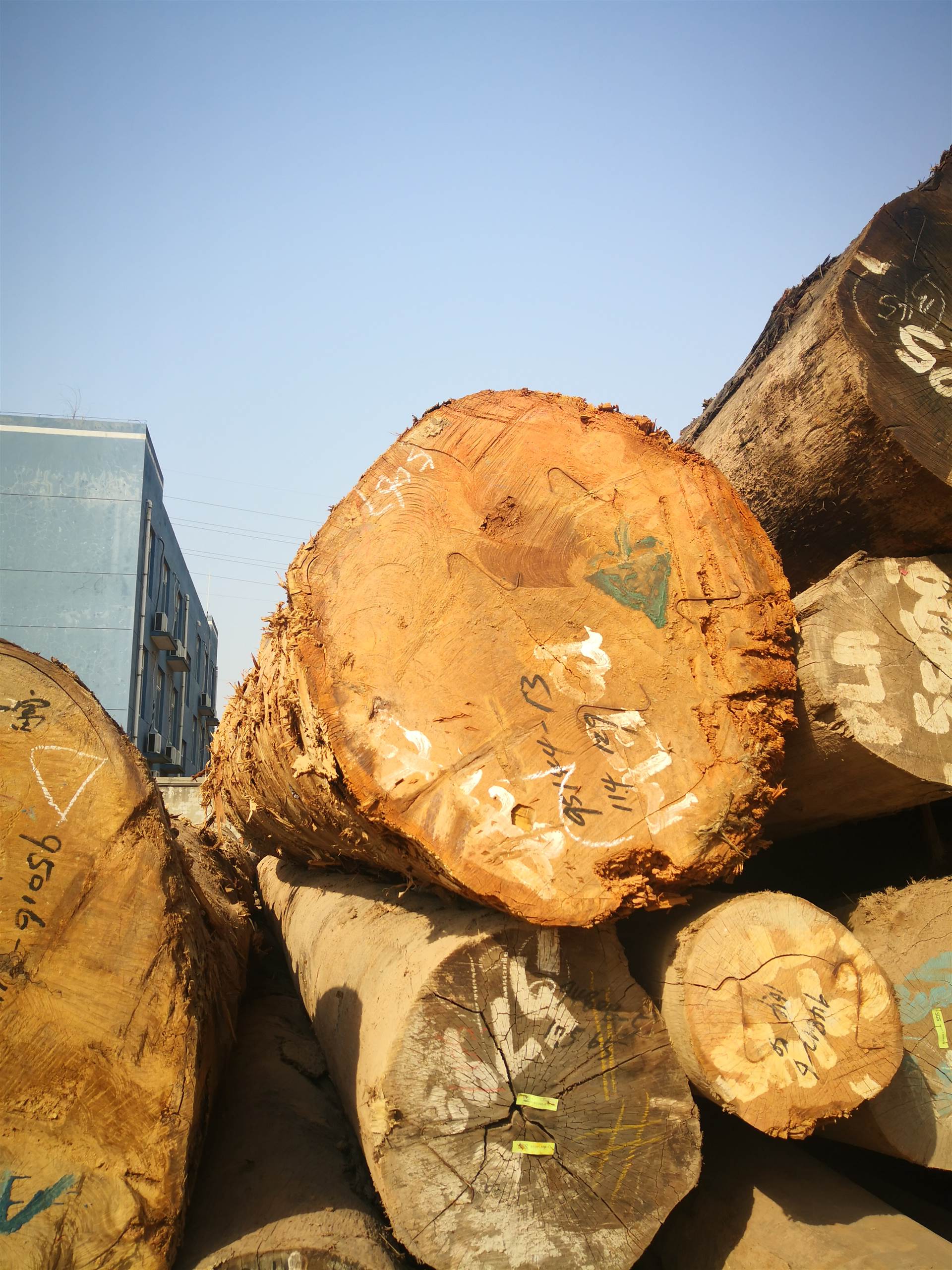 冰糖果海棠木进口原木及烘干板