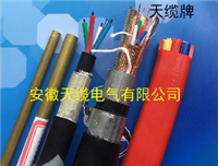 铁路信号电缆HEYFL23铁路长途对称通信电缆