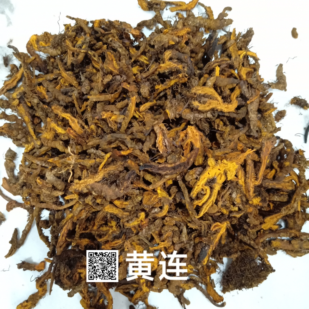 中药材黄连黄连多少钱一公斤