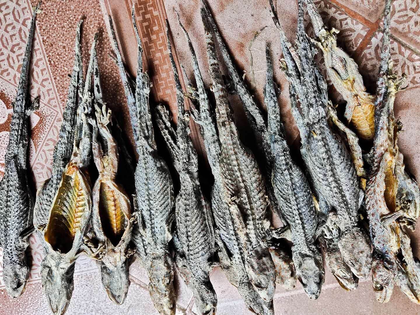 亳州药材供应滚山虫滚山虫的药效