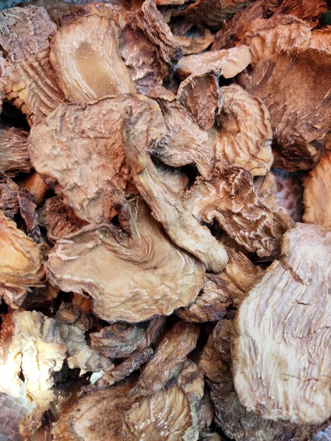 龙虱一斤价格 龙虱功效