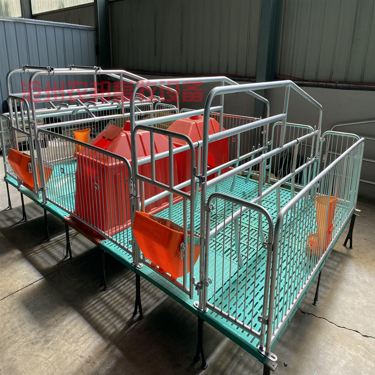 母猪产床双体产床