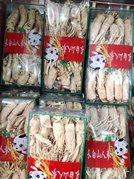 【茵陈的功效与作用及禁忌    中药材茵陈蒿的供应】价格,厂家,农作物种子种苗