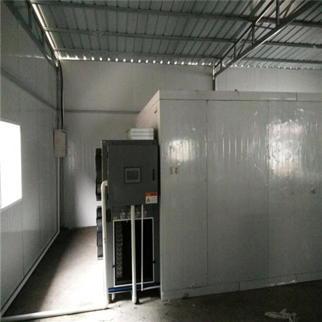 芒果烘干機(jī) 電加熱烘干機(jī) 熱泵烘干房 鼎森機(jī)械