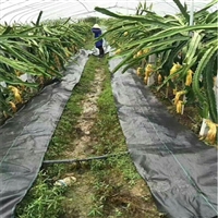 防草布120g遮草布 黑色透水透气防草垫 果园防草布片 花卉打孔