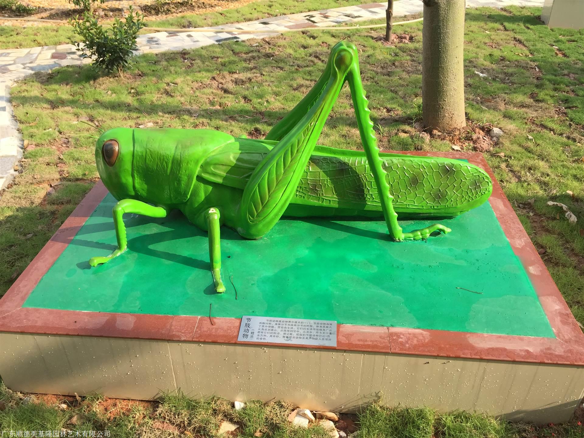 生物园模型节肢动物蝗虫美基隆