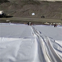 河南水产养殖池两布一膜防水材料 污水处理500g复合土工膜 