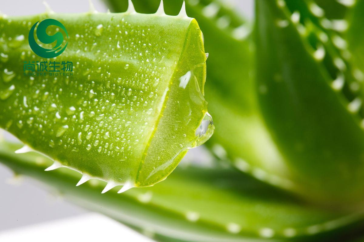 海淀东升专业空调维修 清洗 加雪种 保养