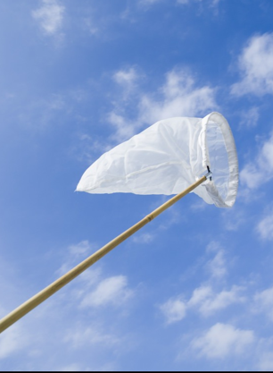 捕虫网不锈钢昆虫捕捉网扫网