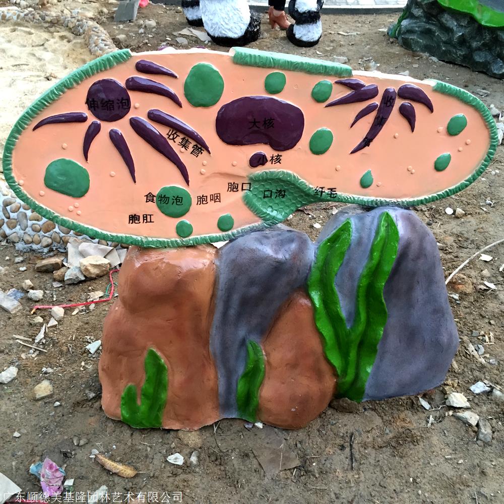 生物园模型原生动物草履虫