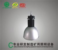 山东泽荣100W节能工矿灯