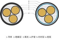 山东泽荣额定电压8.7/10 kV及以下煤矿用交联聚乙烯绝缘电力电缆