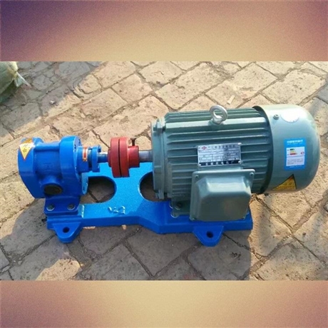 沧县小型转子泵咨询