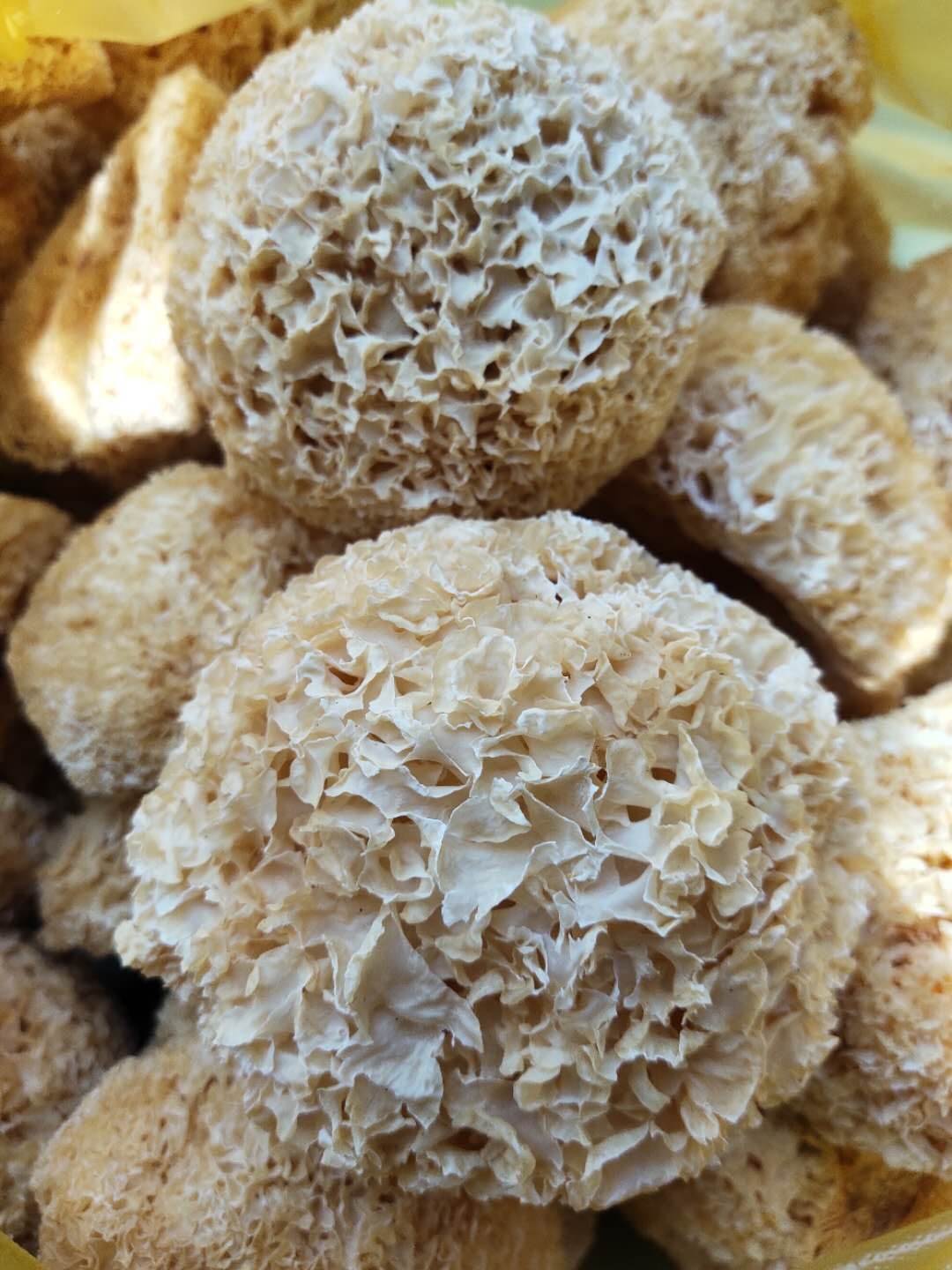 银耳一斤的价格