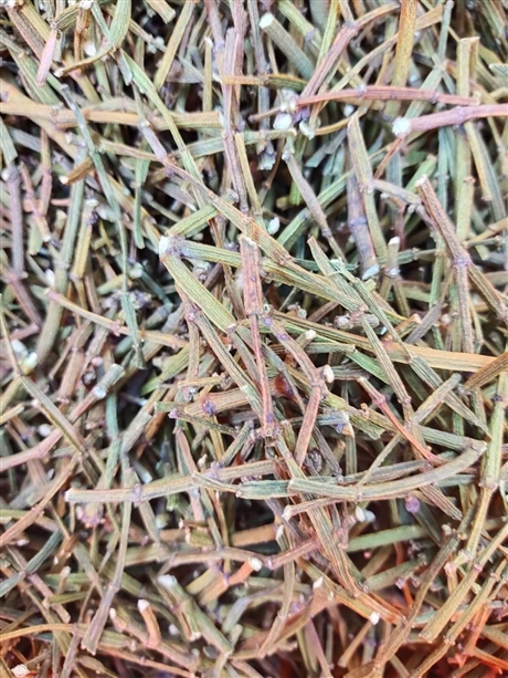 螃蟹脚泡水的作用