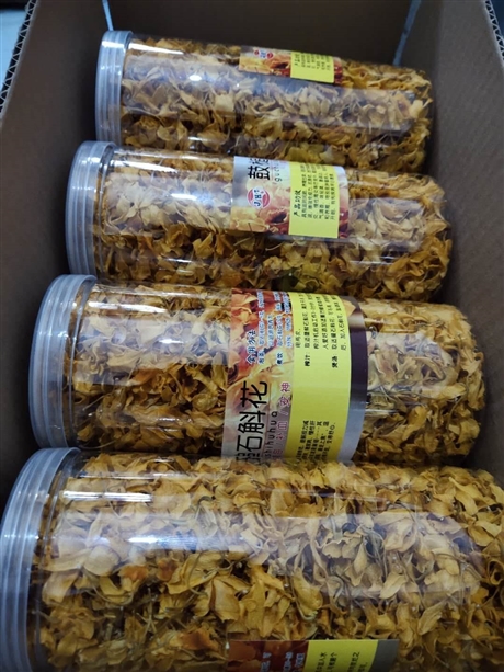 石斛花泡水的功效