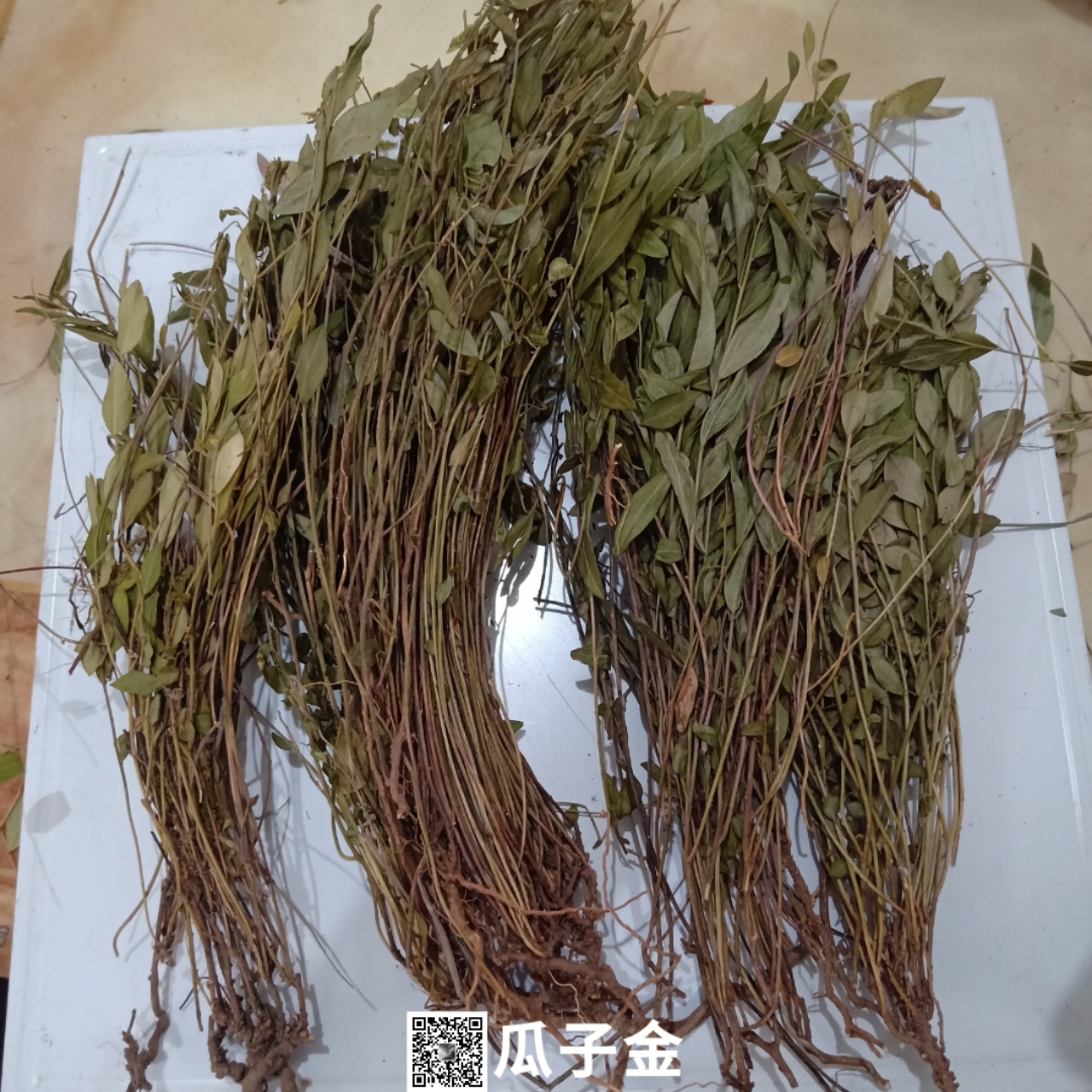 中药材瓜子金瓜子金一公斤价格有卖