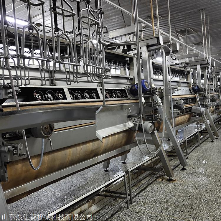 宰鸡流水线宰鸡自动化屠宰设备杰仕森机械家禽脱毛机