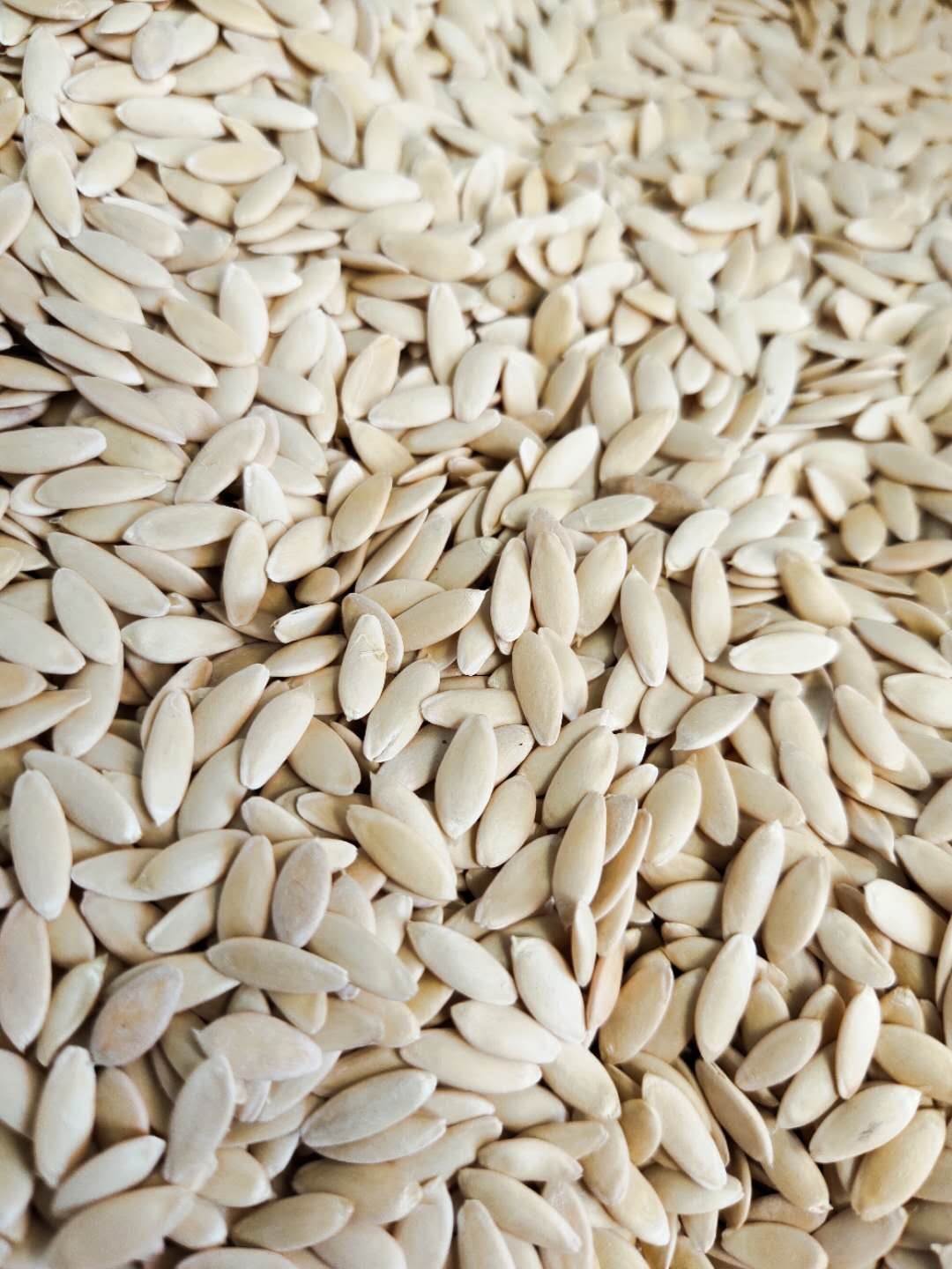 黄瓜籽批发价格v 黄瓜子的功效