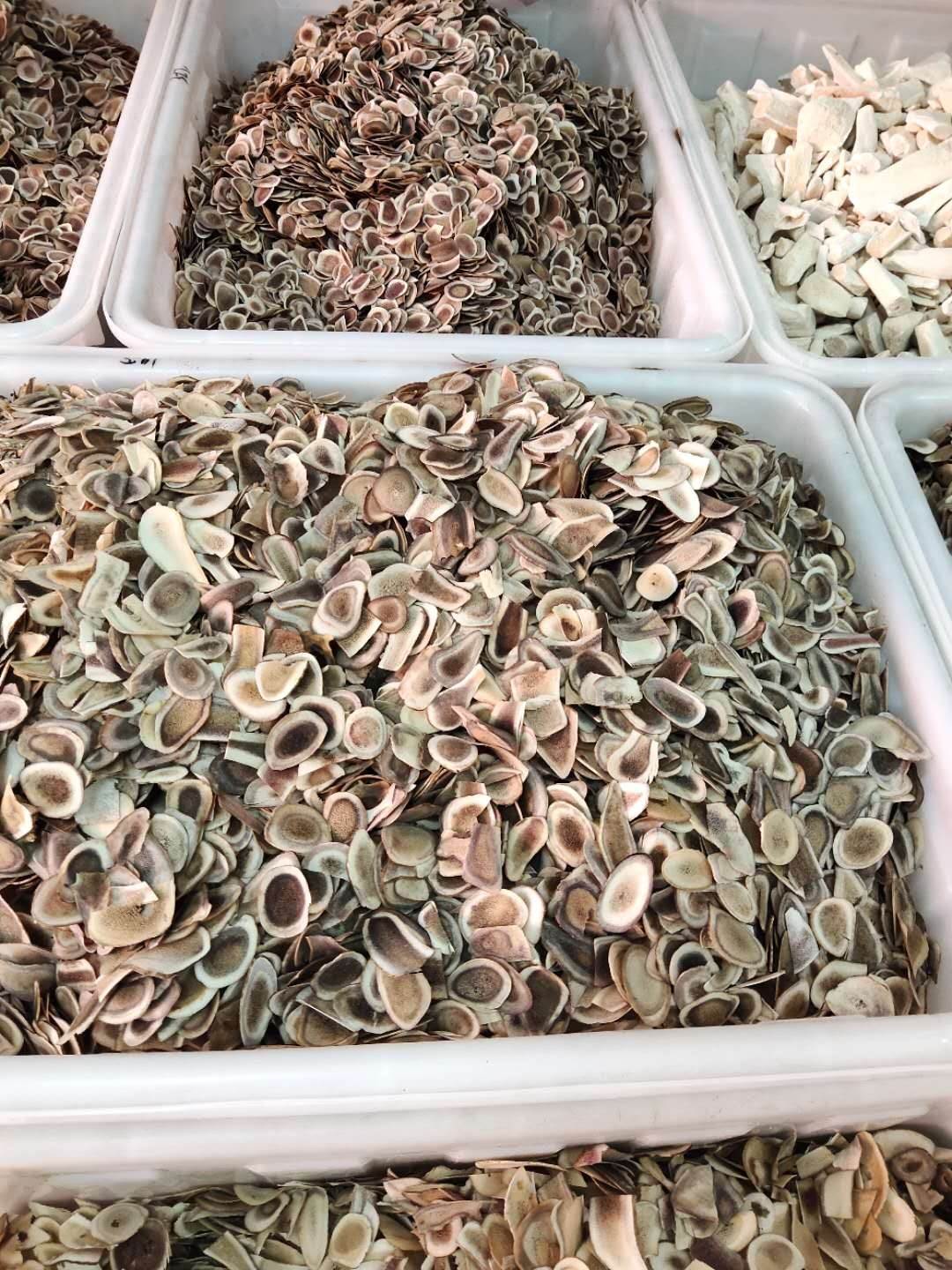 中药材红娘虫价格  红娘虫产地