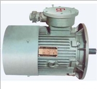 山东泽荣刮板输送机用隔爆型三相异步电动机YBS, YBSS, YBSD