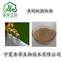 黄蚂蚁提取物水提醇提 黄蚂蚁全粉粉 黑蚂蚁粉