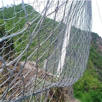 新疆被动防护网RX-075型 环形防护网规格参数