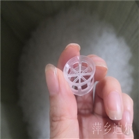 塑料PP阶梯环填料聚丙烯阶梯环DN25阶梯环 CPVC双层阶梯环填料